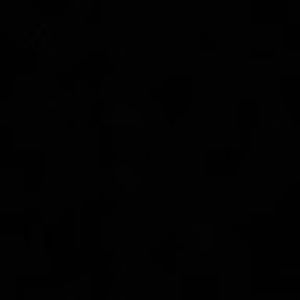 Meet your Posher, Jasmin